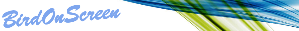 BirdOnSCreen